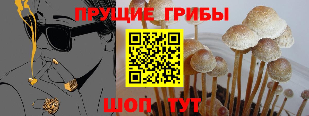 Северобайкальск  Галлюциногенные грибы ЛСД  Вход с VPN  Псилоцибиновые грибы Psilocybe 